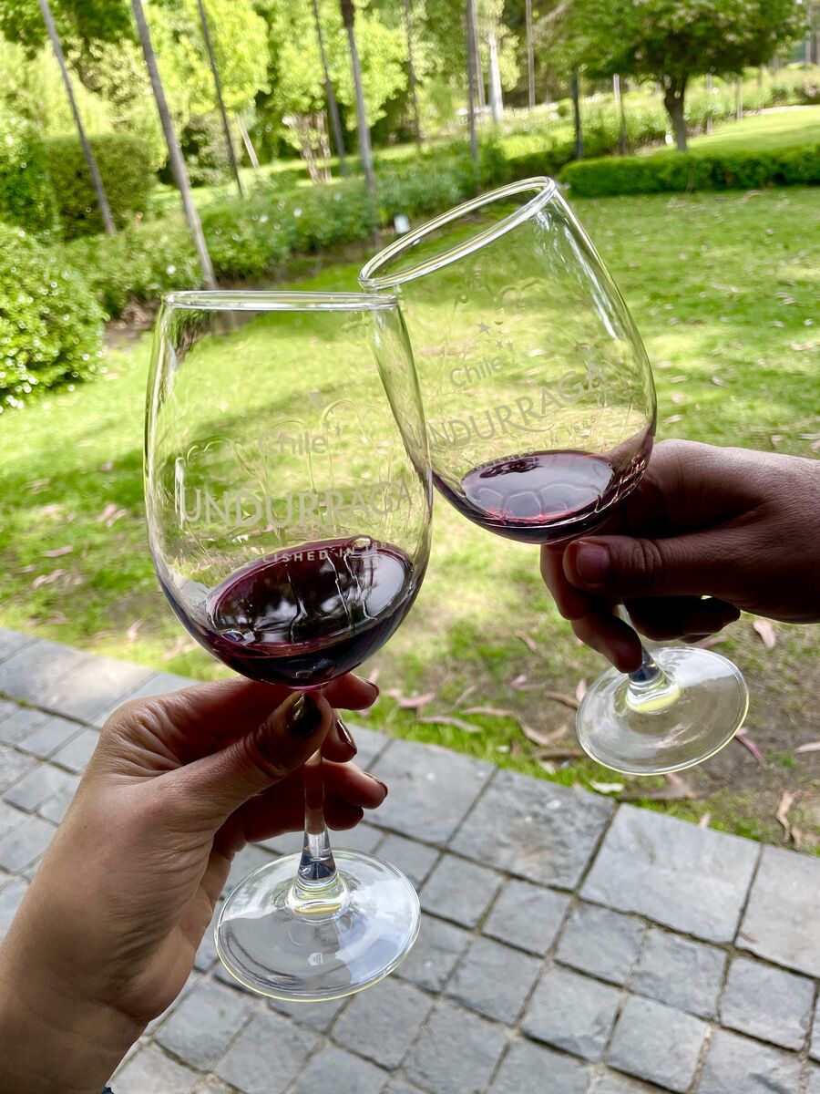 Brinde com vinho na vinícola Undurraga
